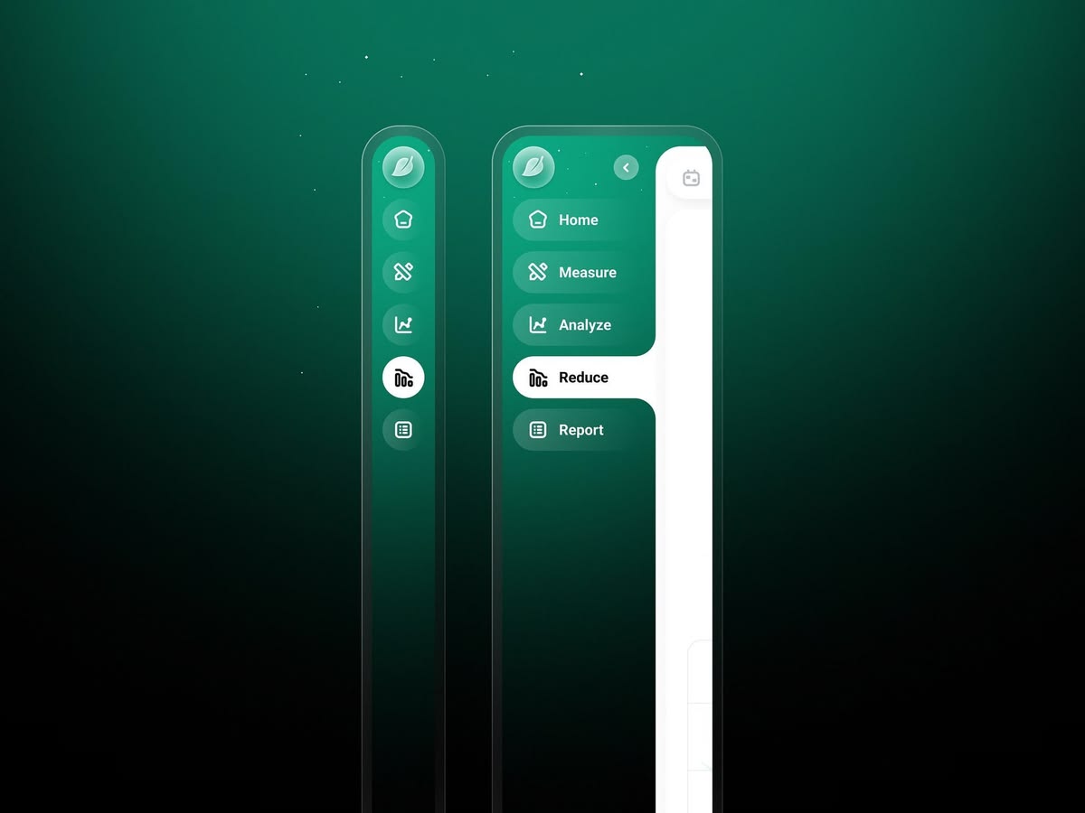 Website development